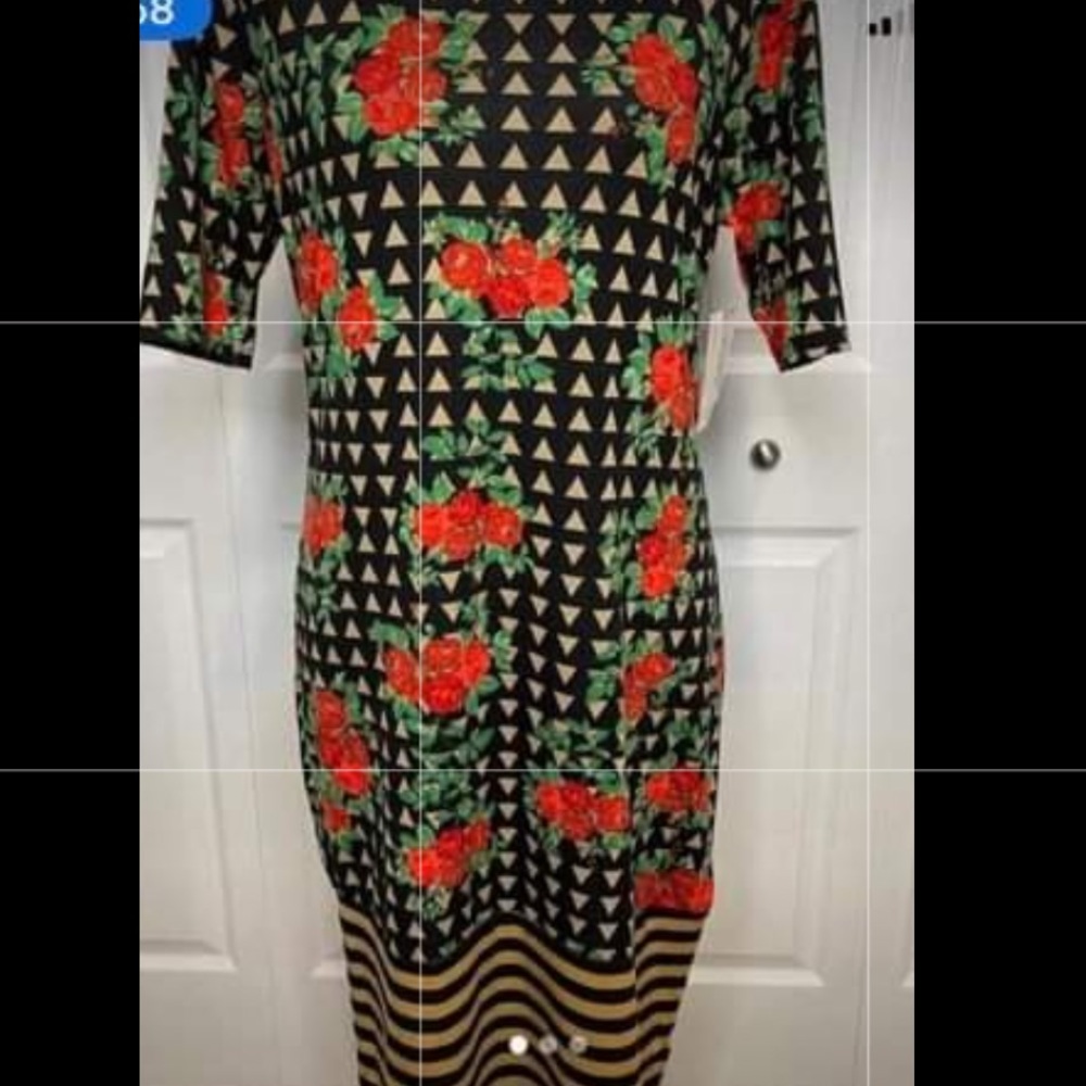 BRAND NEW LulaRoe dress